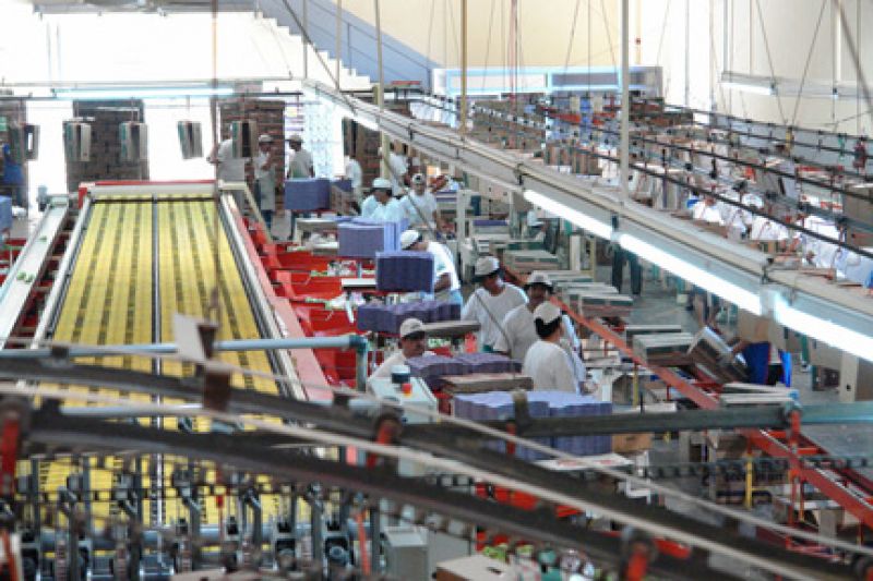 La actividad general creció un 6,4 % interanual en los primeros siete meses de 2022