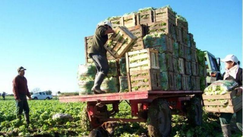 Precios mayoristas subieron 6,1% en diciembre y 94,8% en 2022