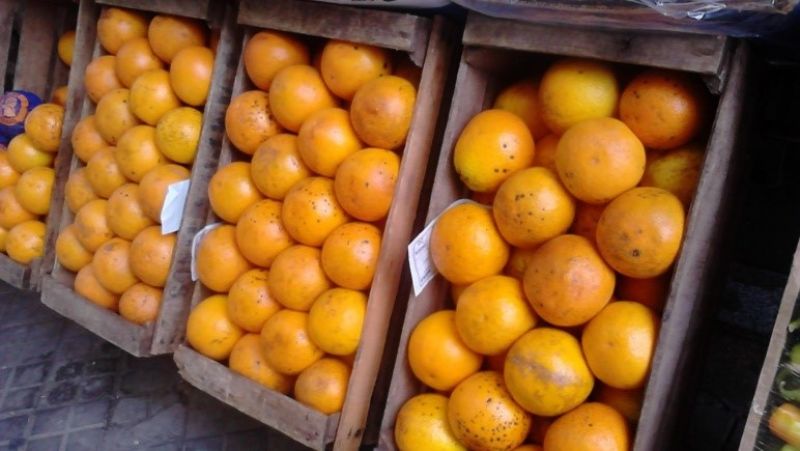 Brecha: en agosto, los consumidores pagaron seis veces más que lo que cobraron los productores agropecuarios