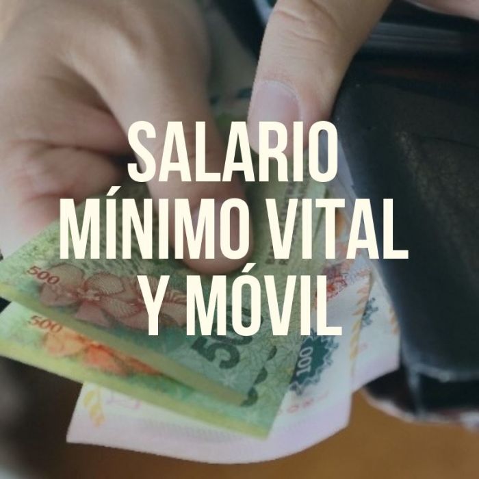 El gobierno oficializó el aumento del salario mínimo, vital y móvil para los próximos tres meses 