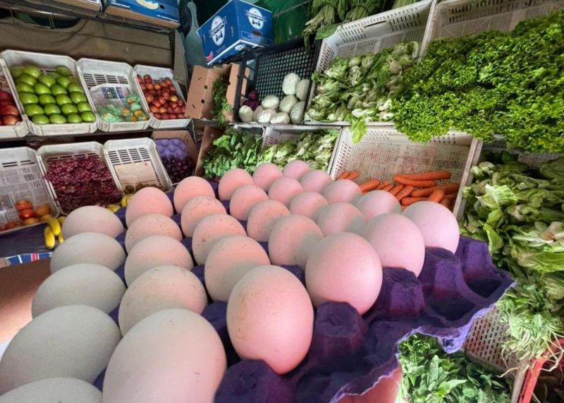 La brecha de precios subió 2,9% en marzo