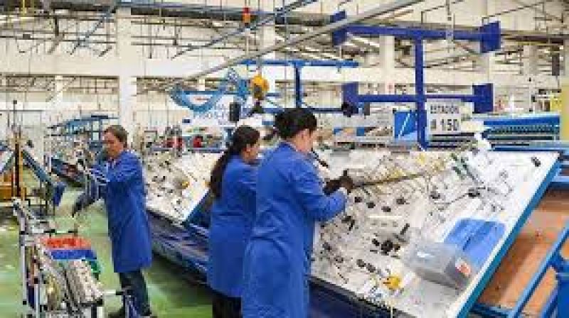 Producción de la industria pyme. Resultados del mes de enero 2021