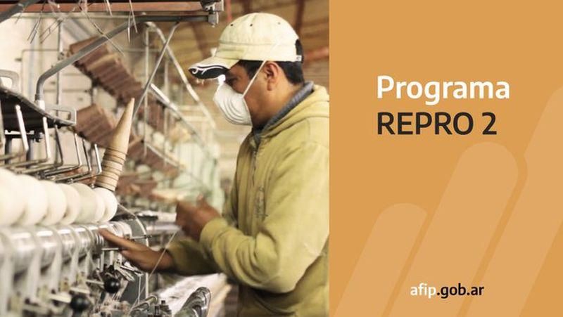 Programa REPRO II: Inscripción y criterios de preselección