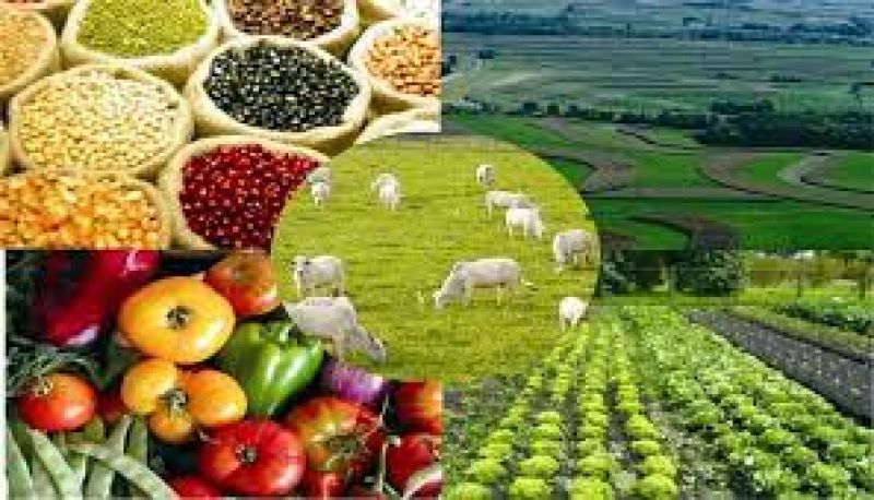 De cada $100 que pagó el consumidor por los agroalimentos sólo $25 fueron al productor