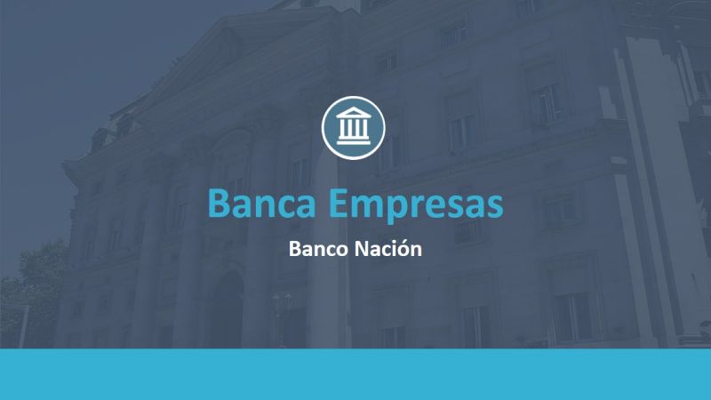 Resumen de los principales productos y líneas de financiación que posee actualmente el BNA.-