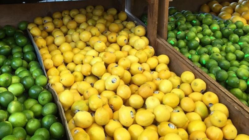 Los precios del campo a la góndola se multiplicaron en julio por 3,4 veces en julio