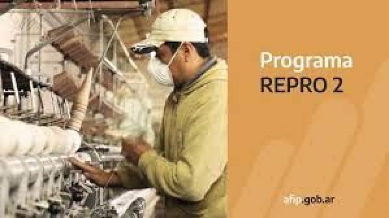 Fijaron los requisitos del Repro II para los salarios de enero