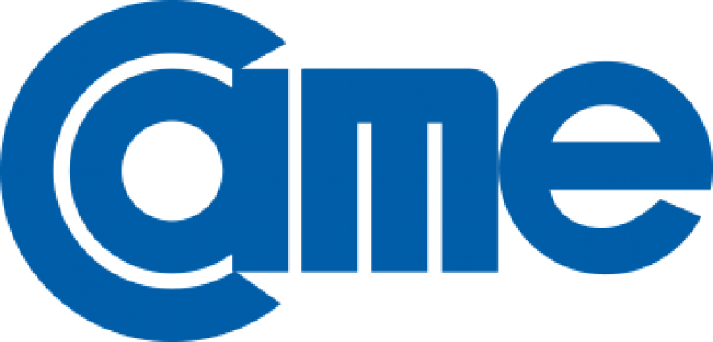 CAME - El impacto del control de cambio sobre las pymes.